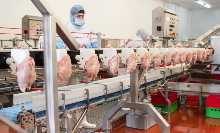 як знайти роботу на м\'ясокомбінаті в Польщі як знайти роботу на м\'ясокомбінаті в Польщі